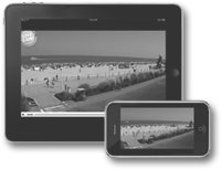 Webcams play on any browser or platform
